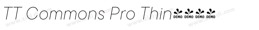 TT Commons Pro Thin字体转换